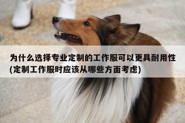 【德赢vwin158】为什么选择专业定制的工作服可以更具耐用性(定制工作服时应该从哪些方面考虑)
