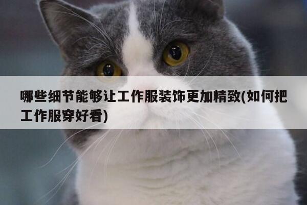 德赢vwin官网|哪些细节能够让工作服装饰更加精致(如何把工作服穿好看)