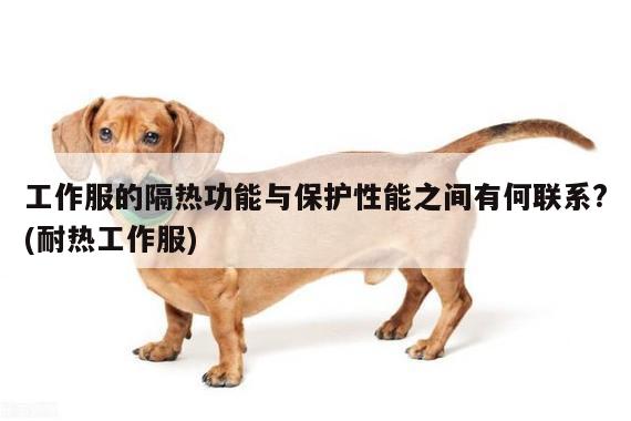 德赢vwinac米兰:工作服的隔热功能与保护性能之间有何联系?(耐热工作服)