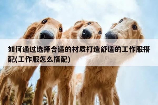 德赢vwin158:如何通过选择合适的材质打造舒适的工作服搭配(工作服怎么搭配)