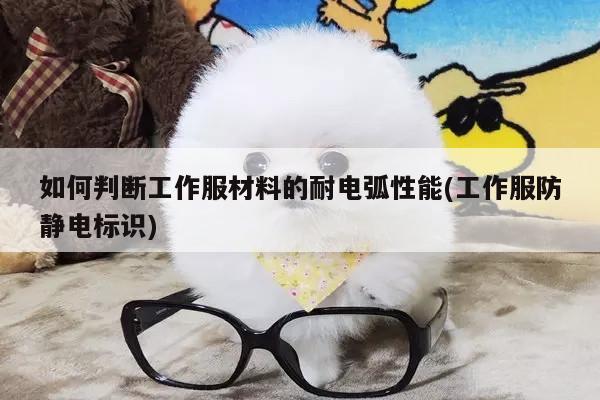 如何判断工作服材料的耐电弧性能(工作服防静电标识)|德赢vwin官方网站