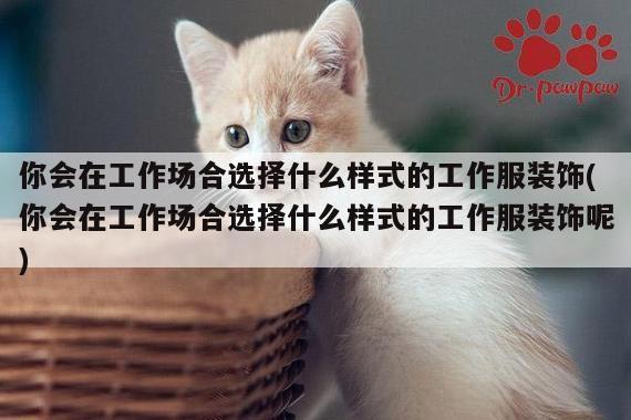 你会在工作场合选择什么样式的工作服装饰(你会在工作场合选择什么样式的工作服装饰呢)_德赢vwinac米兰