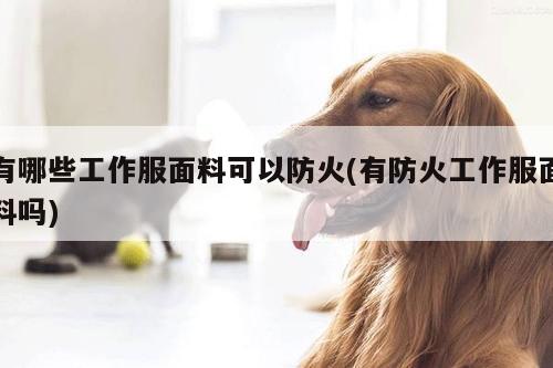 德赢vwinac米兰|有哪些工作服面料可以防火(有防火工作服面料吗)