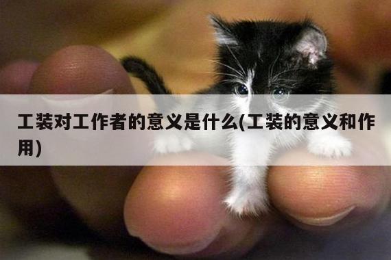工装对工作者的意义是什么(工装的意义和作用)-德赢vwin158