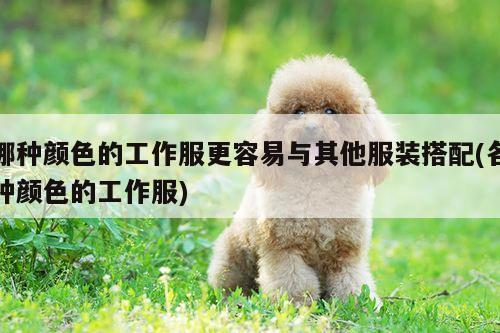 德赢vwin158|哪种颜色的工作服更容易与其他服装搭配(各种颜色的工作服)