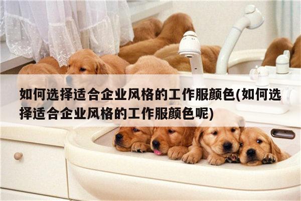 如何选择适合企业风格的工作服颜色(如何选择适合企业风格的工作服颜色呢)-德赢vwinac米兰