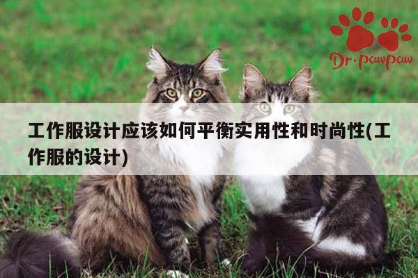 德赢vwin官网|工作服设计应该如何平衡实用性和时尚性(工作服的设计)