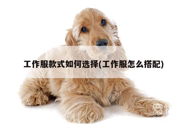 【德赢vwin官方网站】工作服款式如何选择(工作服怎么搭配)