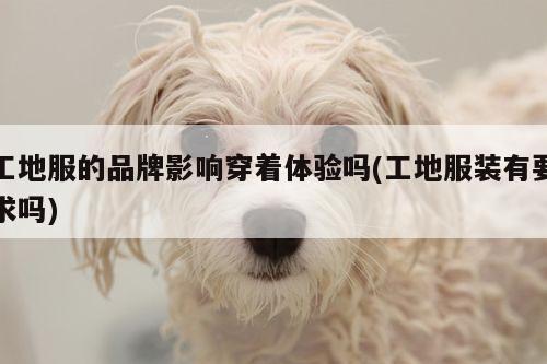 德赢vwin官网|工地服的品牌影响穿着体验吗(工地服装有要求吗)