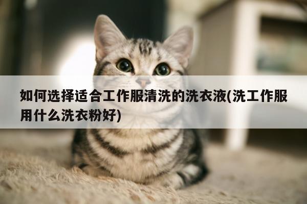 如何选择适合工作服清洗的洗衣液(洗工作服用什么洗衣粉好)-德赢vwin官方网站