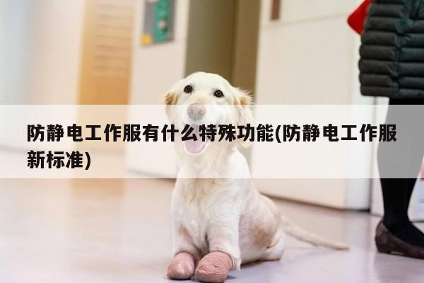 防静电工作服有什么特殊功能(防静电工作服新标准)【德赢vwin官方网站】