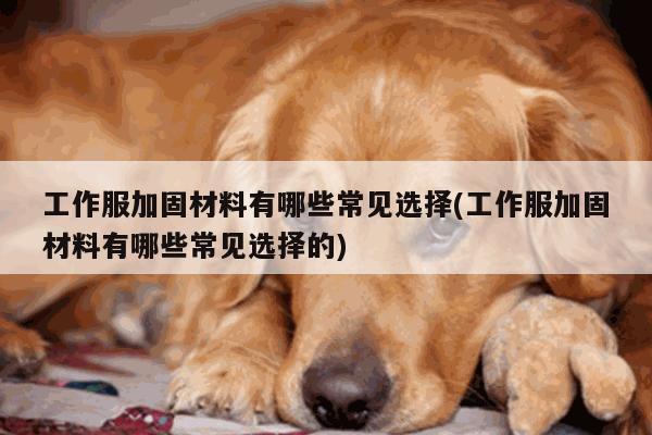 德赢vwin官方网站-工作服加固材料有哪些常见选择(工作服加固材料有哪些常见选择的)