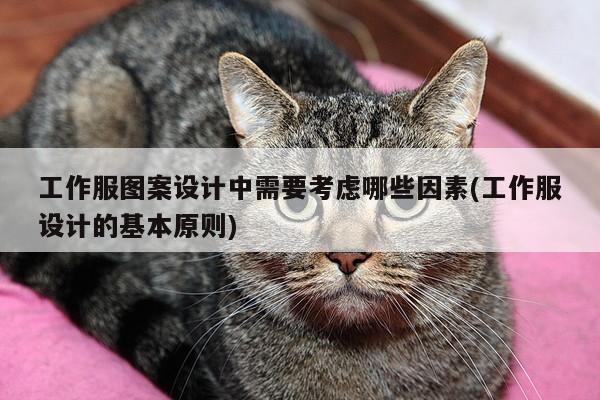 德赢vwin官方网站-工作服图案设计中需要考虑哪些因素(工作服设计的基本原则)