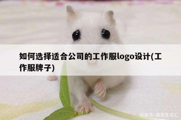 德赢vwinac米兰_如何选择适合公司的工作服logo设计(工作服牌子)