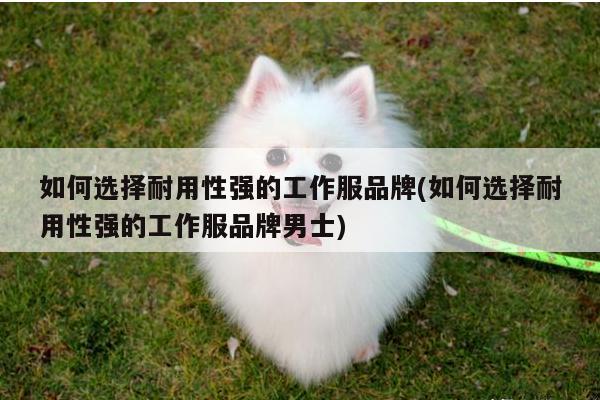 如何选择耐用性强的工作服品牌(如何选择耐用性强的工作服品牌男士):德赢vwin官方网站