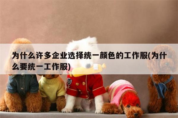 为什么许多企业选择统一颜色的工作服(为什么要统一工作服)【德赢vwin官网】