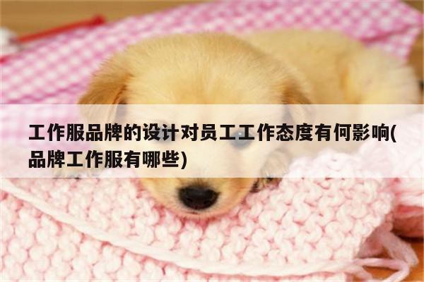 工作服品牌的设计对员工工作态度有何影响(品牌工作服有哪些)_德赢vwin官方网站
