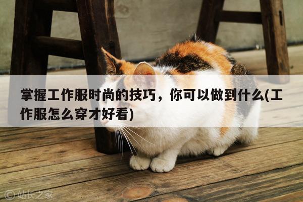 德赢vwin官网-掌握工作服时尚的技巧,你可以做到什么(工作服怎么穿才好看)