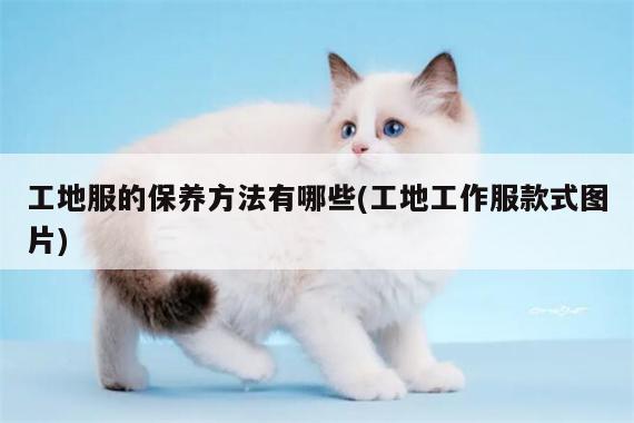 德赢vwin158|工地服的保养方法有哪些(工地工作服款式图片)