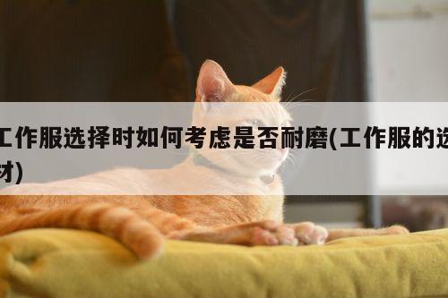 德赢vwin官方网站|工作服选择时如何考虑是否耐磨(工作服的选材)