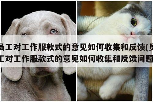 员工对工作服款式的意见如何收集和反馈(员工对工作服款式的意见如何收集和反馈问题)_德赢vwin官网