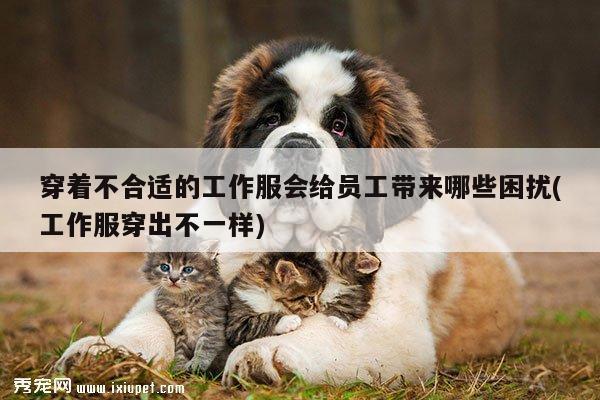 【德赢vwin官网】穿着不合适的工作服会给员工带来哪些困扰(工作服穿出不一样)