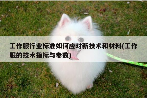 工作服行业标准如何应对新技术和材料(工作服的技术指标与参数)【德赢vwin官方网站】
