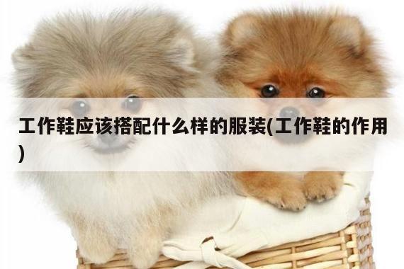 德赢vwin官网-工作鞋应该搭配什么样的服装(工作鞋的作用)