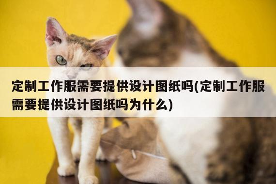 德赢vwin158|定制工作服需要提供设计图纸吗(定制工作服需要提供设计图纸吗为什么)