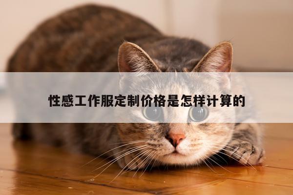 性感工作服定制价格是怎样计算的|德赢vwin官方网站