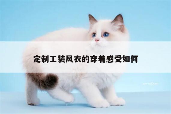 德赢vwin官网_定制工装风衣的穿着感受如何