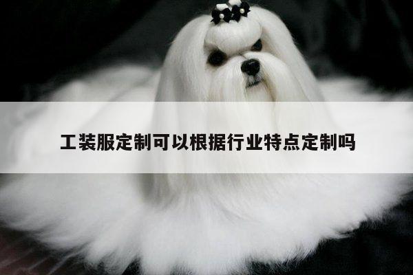 德赢vwin官方网站:工装服定制可以根据行业特点定制吗
