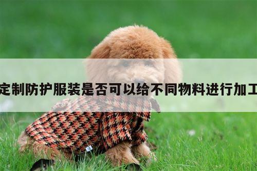 定制防护服装是否可以给不同物料进行加工-德赢vwin官方网站