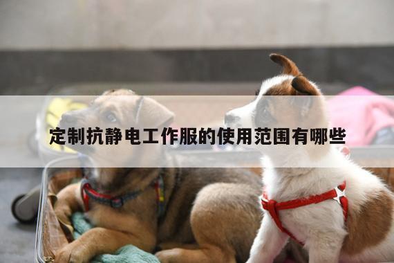 德赢vwin官网_定制抗静电工作服的使用范围有哪些