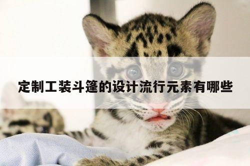 定制工装斗篷的设计流行元素有哪些|德赢vwin官网