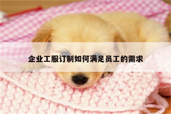 企业工服订制如何满足员工的需求-德赢vwinac米兰
