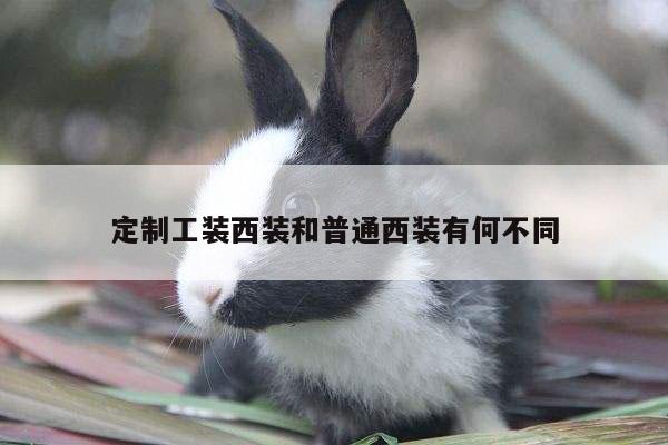 定制工装西装和普通西装有何不同|德赢vwinac米兰
