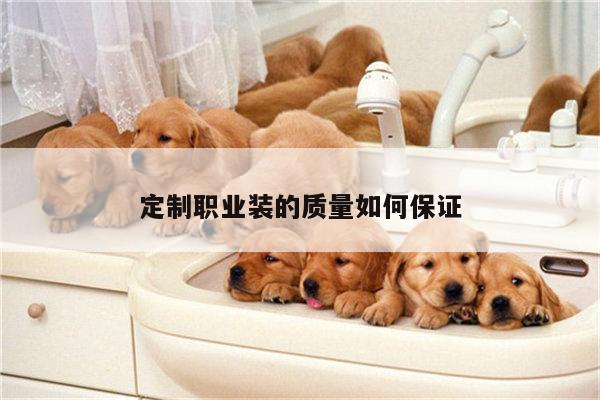 定制职业装的质量如何保证-德赢vwin158