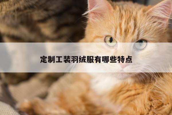 德赢vwin官网|定制工装羽绒服有哪些特点