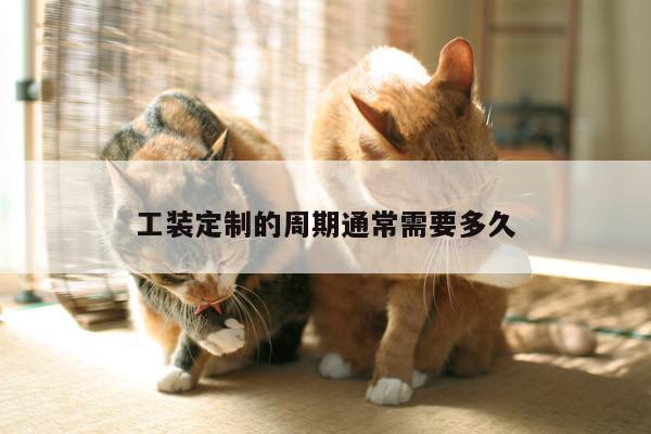 德赢vwin158_工装定制的周期通常需要多久