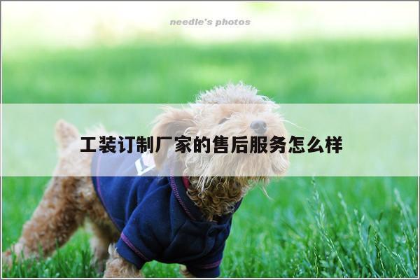德赢vwin官方网站_工装订制厂家的售后服务怎么样