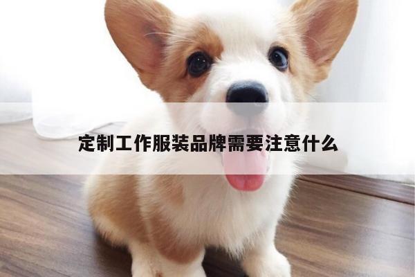 德赢vwin158|定制工作服装品牌需要注意什么