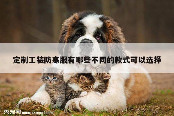 定制工装防寒服有哪些不同的款式可以选择-德赢vwin官网