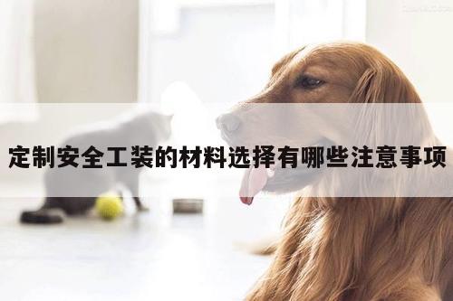 德赢vwinac米兰:定制安全工装的材料选择有哪些注意事项