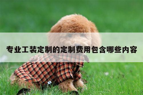 专业工装定制的定制费用包含哪些内容-德赢vwin官方网站