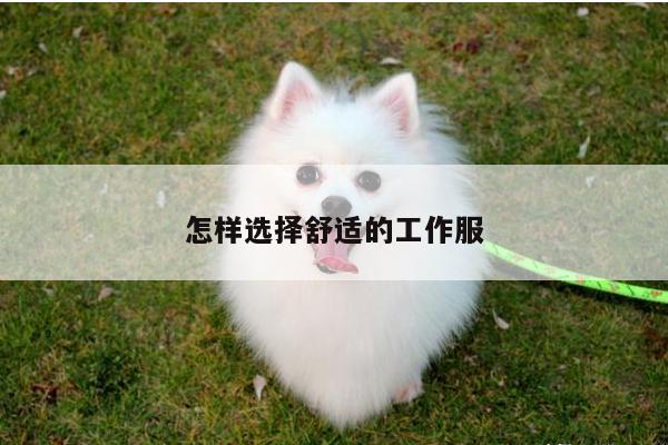 怎样选择舒适的工作服_德赢vwin158