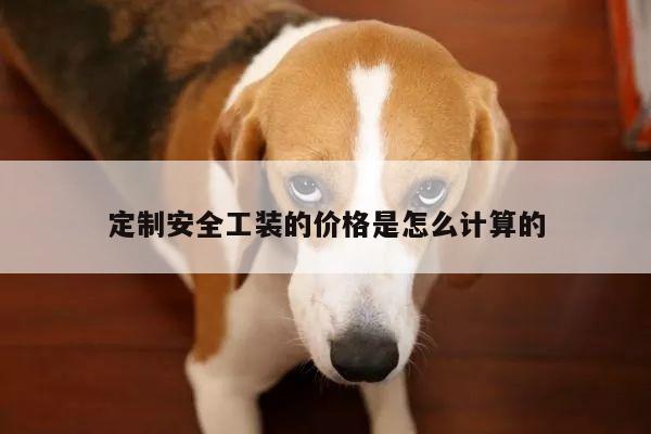 【德赢vwinac米兰】定制安全工装的价格是怎么计算的
