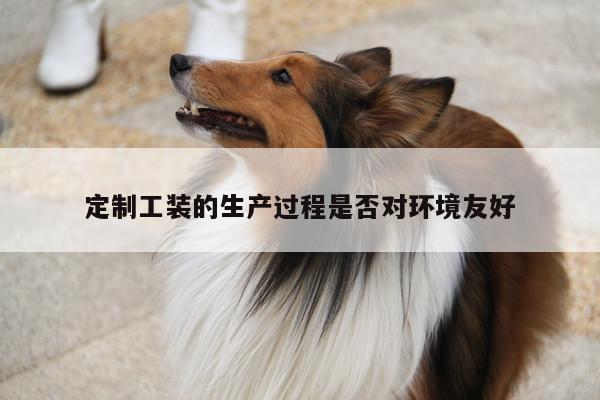 德赢vwin158_定制工装的生产过程是否对环境友好