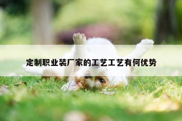 德赢vwin158|定制职业装厂家的工艺工艺有何优势