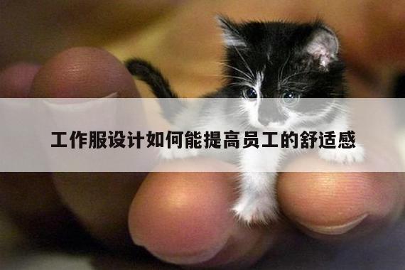 德赢vwin158-工作服设计如何能提高员工的舒适感